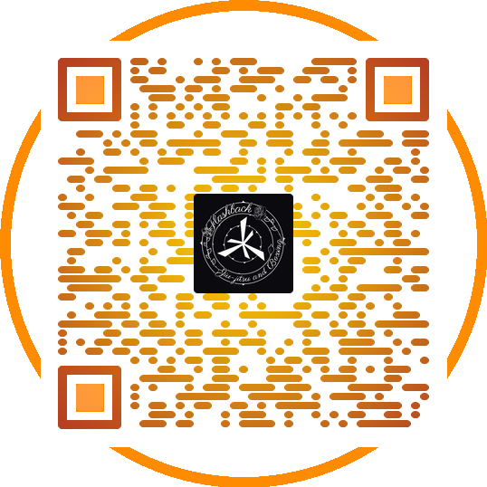 Professional QR Code 10